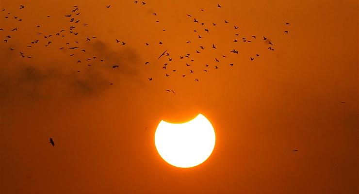 Сонячні затемнення 2023 року - точні дати та вплив на людину