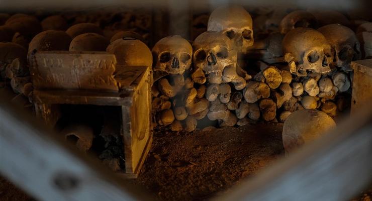 У Польщі знайдено сліди маловідомого предка людини
