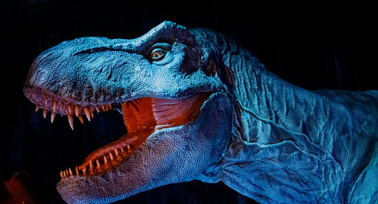 Ядерної зими не було: вчені представили доповідь про смерть динозаврів