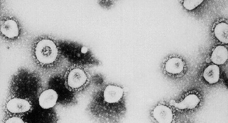 Штамм коронавируса "Арктур": почему и чем он опасен