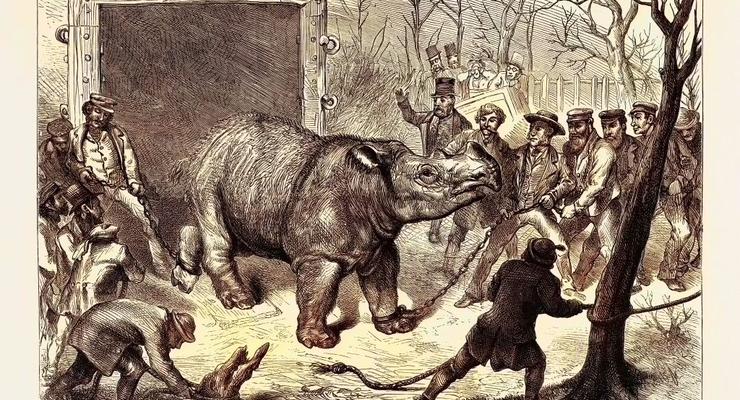 В Україні з'явився гіпсовий зліпок тварини Льодовикового періоду