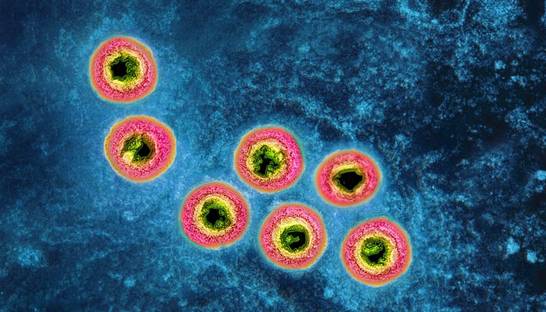 Болеют все: 3 причины вакцинироваться от этой распространенной проблемы