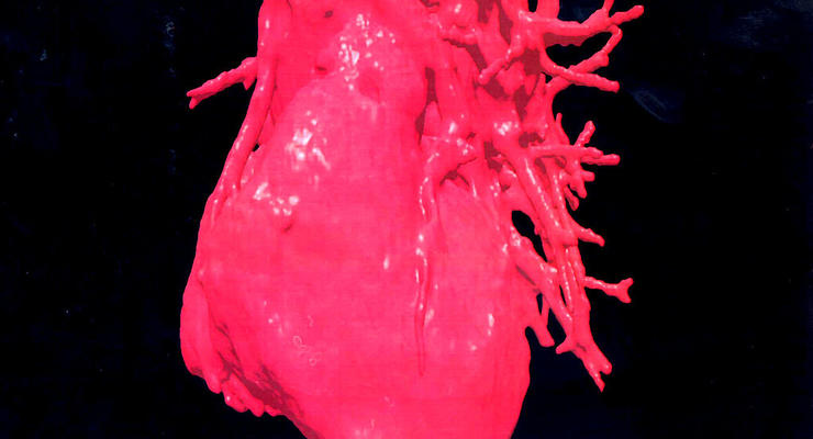 Как выглядит наше сердце - самая первая подробная карта