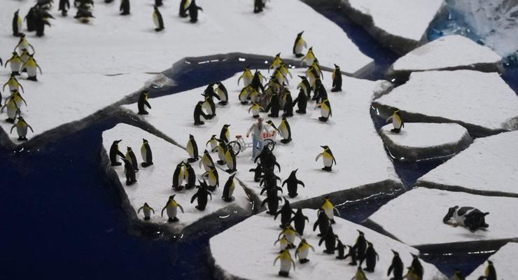 Пингвины "захватили" оборудование Украины в Антарктиде