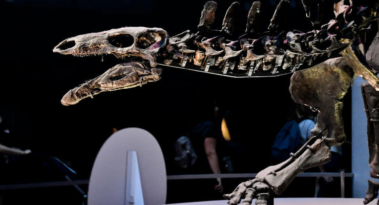 Виноват не астероид: озвучена новая причина гибели динозавров