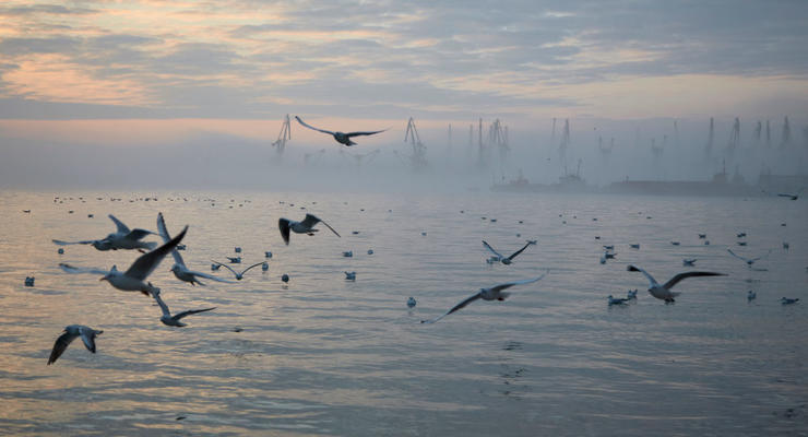 Оккупанты поставили Азовское море под угрозу вымирания