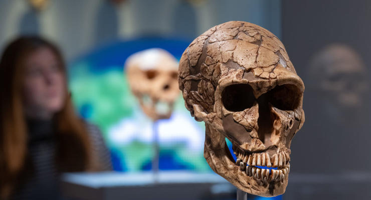 Ученые смогли воссоздать лицо неандертальца: фото