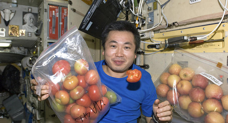 Эпичная история в 8 месяцев: астронавты нашли потерянный в космосе помидор