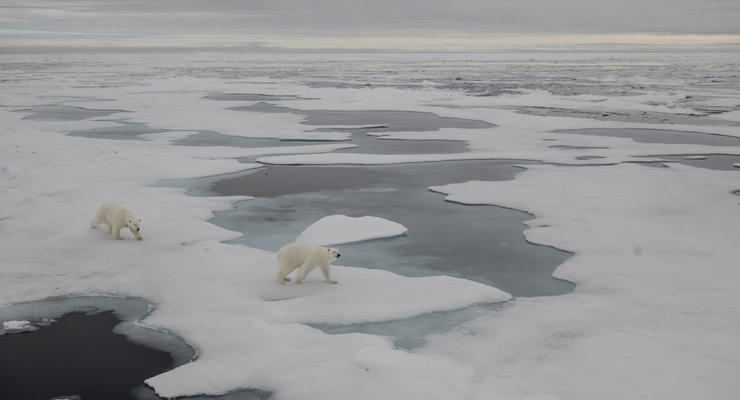 Украинцы узнали, почему тают ледники в Антарктиде