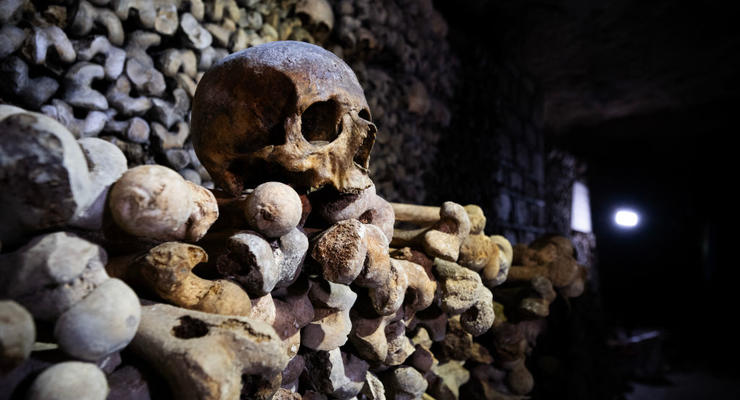 Українські вчені знайшли 107 могил із купою артефактів