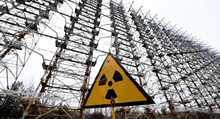 Зона відчуження: у Чорнобильському заповіднику показали новий знімок із фотопастки