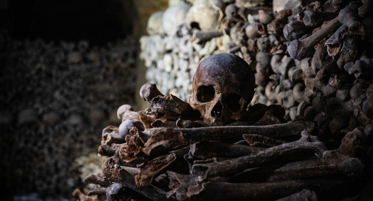 Более 10 тыс ценных предметов: под Киевом найден древний некрополь