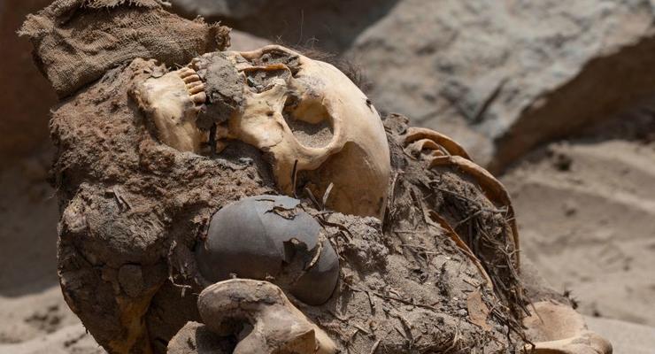 1,4 млн лет: в Украине нашли древнейшие артефакты Европы