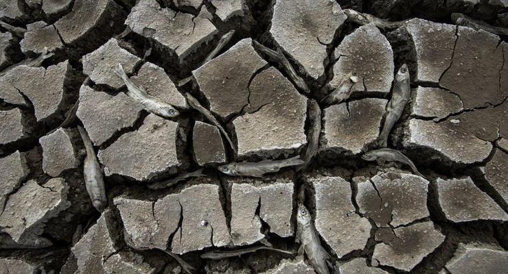 Земля зіткнеться з грандіозною посухою: попередження вчених