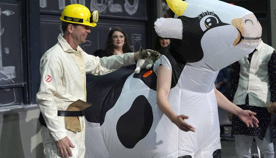 Дихання анусом, голуби-ракетники та нетверезі черв'яки: відбулося нагородження Шнобелівською премією