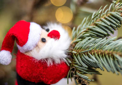 Утро 1 января: какой завтрак будет полезным после новогодней трапезы