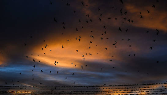 Магнитные бури, прогноз на 9, 10, 11 января: ждет ли нас спокойствие